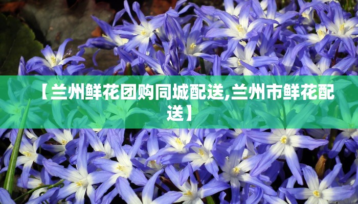 【兰州鲜花团购同城配送,兰州市鲜花配送】