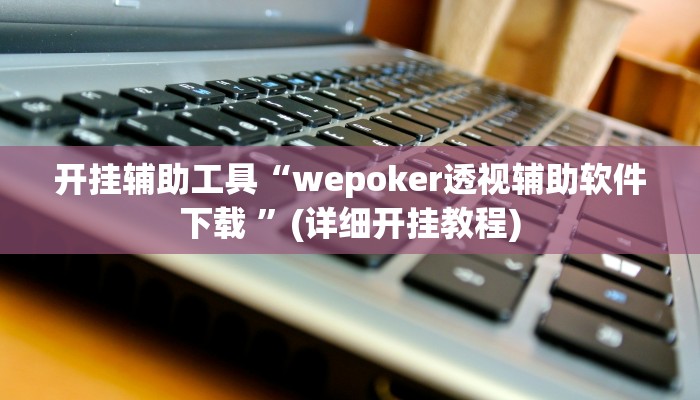 开挂辅助工具“wepoker透视辅助软件下载 ”(详细开挂教程)