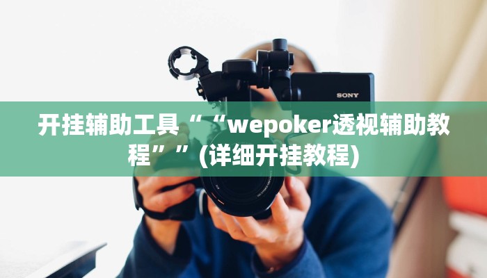 开挂辅助工具““wepoker透视辅助教程””(详细开挂教程)