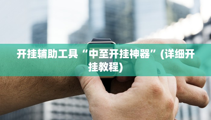 开挂辅助工具“中至开挂神器”(详细开挂教程)