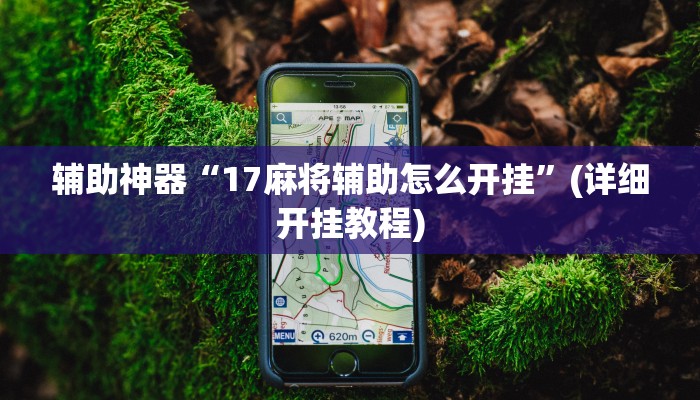 辅助神器“17麻将辅助怎么开挂”(详细开挂教程)