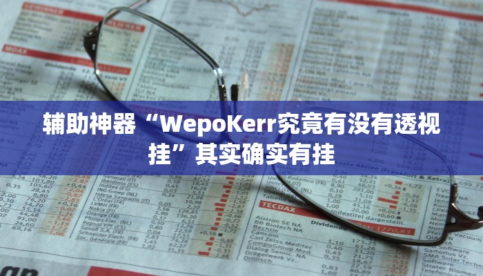 辅助神器“WepoKerr究竟有没有透视挂”其实确实有挂