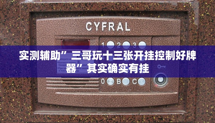 实测辅助”三哥玩十三张开挂控制好牌器”其实确实有挂