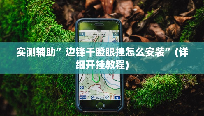 实测辅助”边锋干瞪眼挂怎么安装”(详细开挂教程)