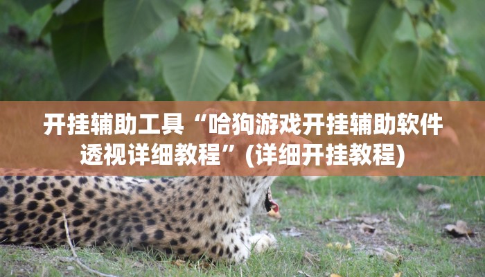 开挂辅助工具“哈狗游戏开挂辅助软件透视详细教程”(详细开挂教程)