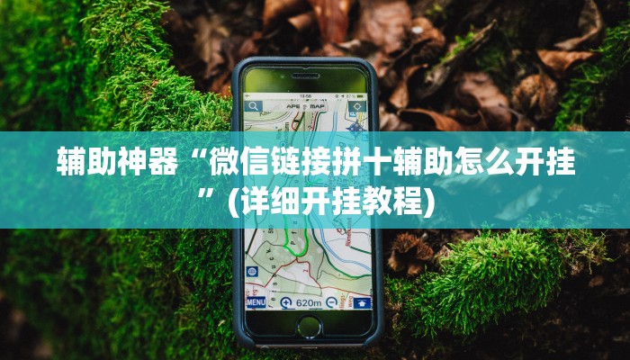 辅助神器“微信链接拼十辅助怎么开挂”(详细开挂教程)